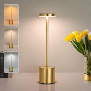 cordless lamp
